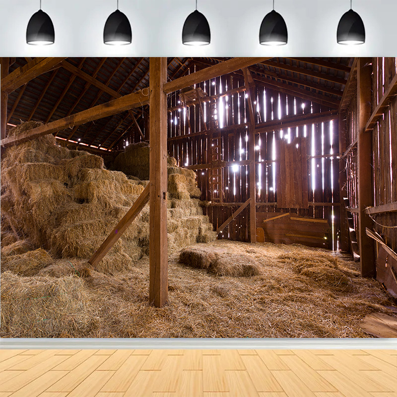 Fascino del cowboy occidentale - Photography Backdrop Muslin recensione e prezzo